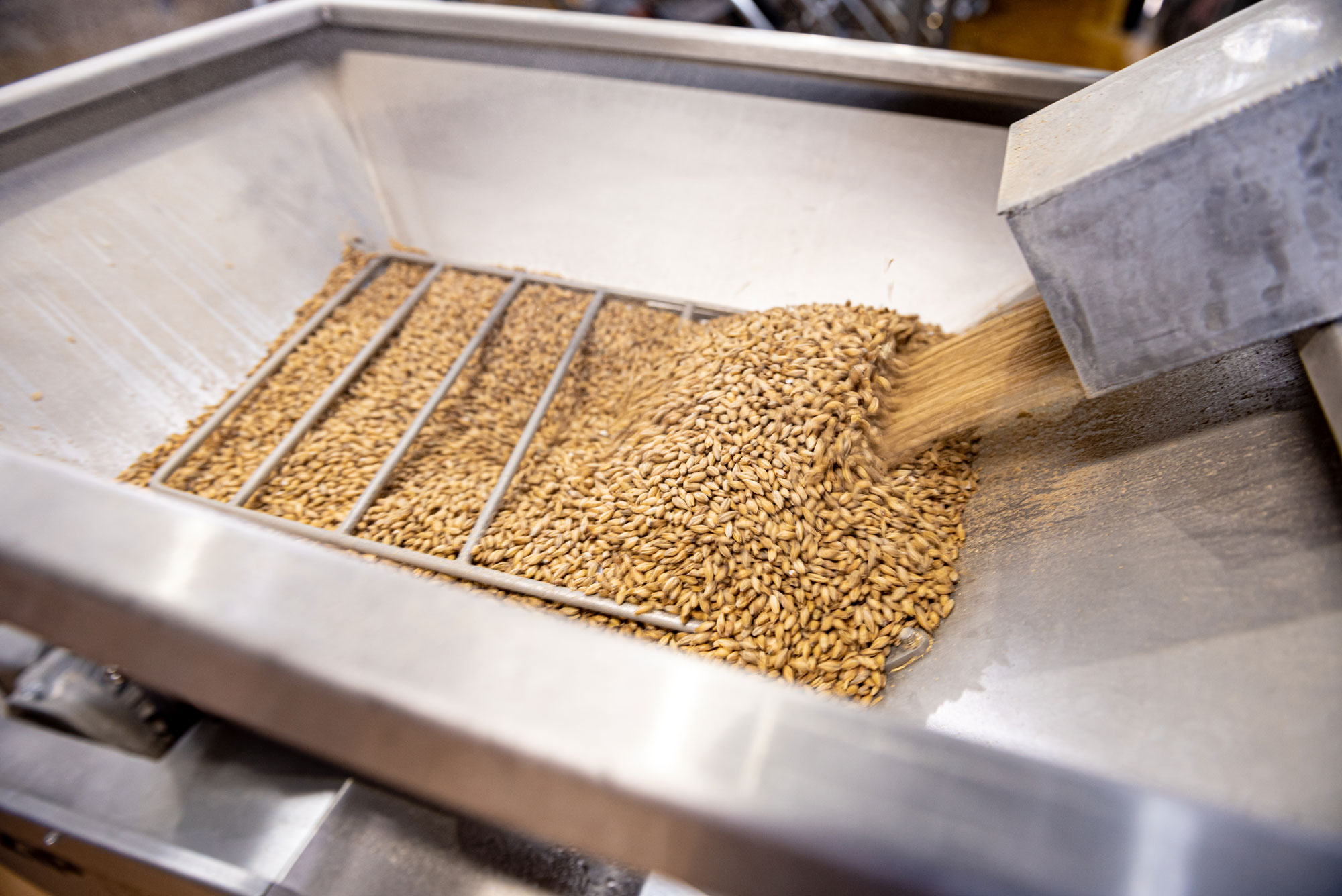 Grains being produced within a manufacturing plant